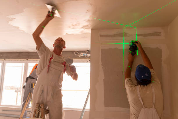 Best Real Estate Mold Inspection  in Maiden, NC