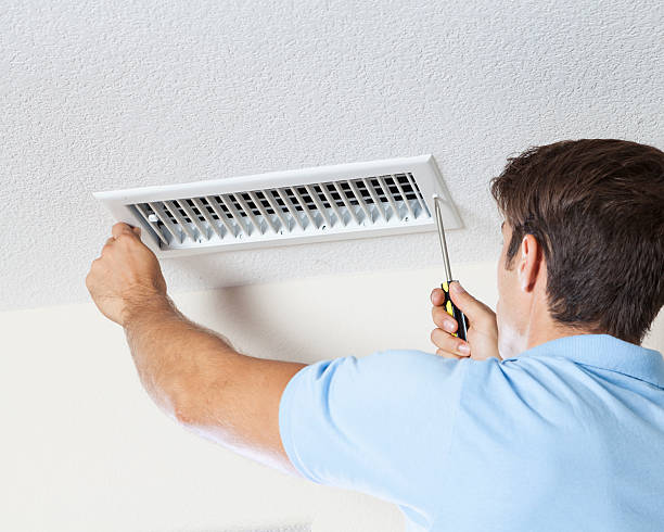 Best Industrial Mold Remediation  in Maiden, NC