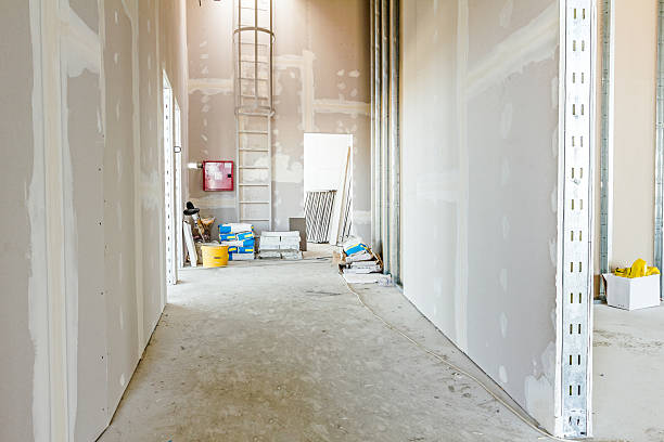 Forensic Mold Investigation in Maiden, NC