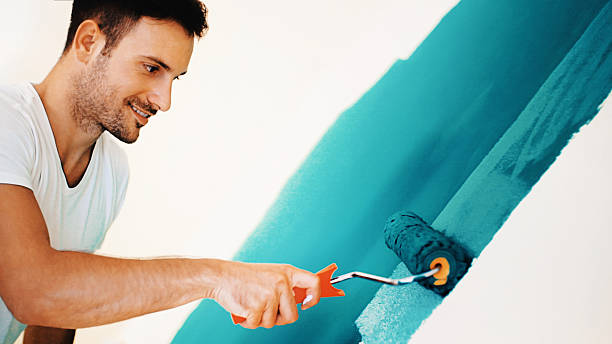 Best Black Mold Removal  in Maiden, NC