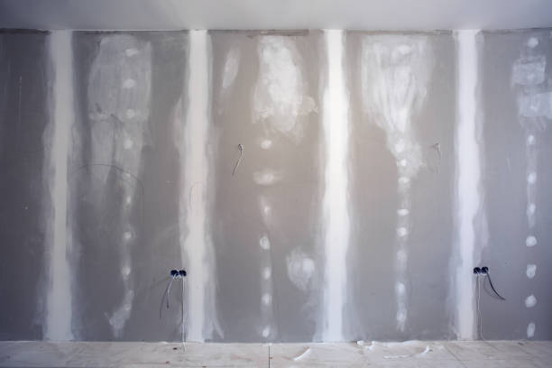 Maiden, NC Mold Removal Company